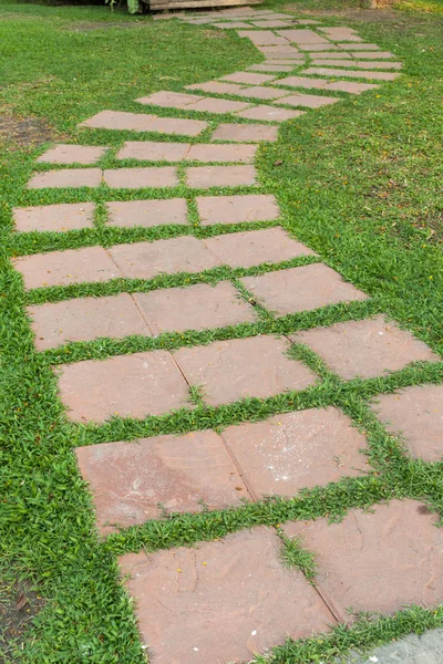 Taşların arasında büyüyen çimenli bahçe taşı patikası.