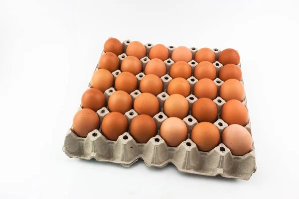 卵トレイ — ストック写真
