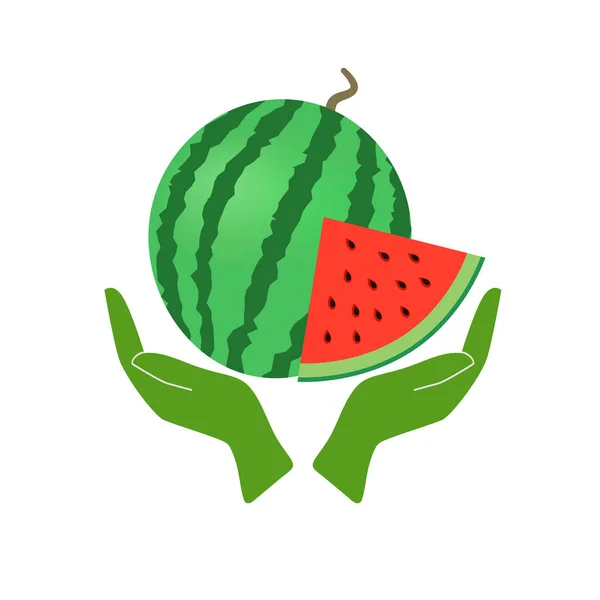 Wassermelone Und Eine Scheibe Mit Einer Stützenden Hand Vektorillustration — Stockvektor