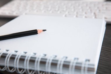 Klavyeli not defterine kalem.