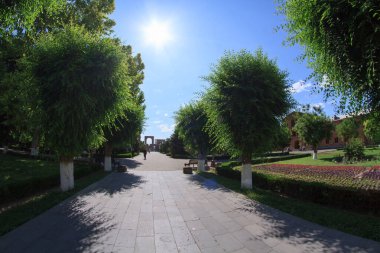 Yeşil bir parkın içinden bir yol.