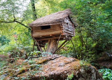Ormandaki bir ağaçtaki ahşap kulübe.