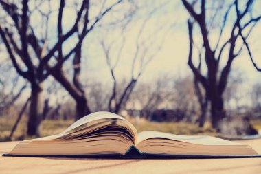 Güneşli bir günde açık bir kitap