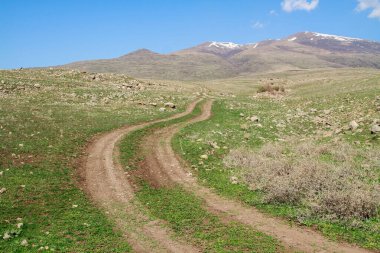 Tarlada dar bir patika