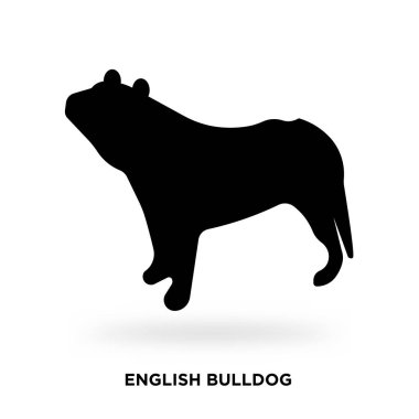 İngilizce bulldog siluet