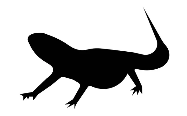 Bearded dragon silhouet op witte achtergrond — Stockvector