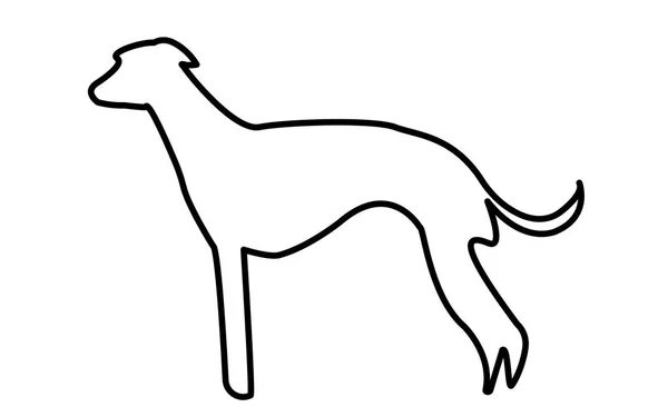 Whippet Silhouette Umriss auf weißem Hintergrund — Stockvektor