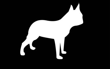 Beyaz boston korkunç siluet siyah arka plan üzerine