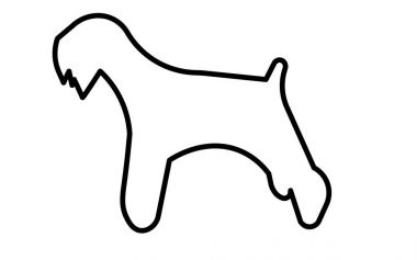 minyatür schnauzer siluet Anahat Beyaz arka plan üzerinde