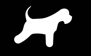 Beyaz minyatür schnauzer siluet siyah arka plan üzerine