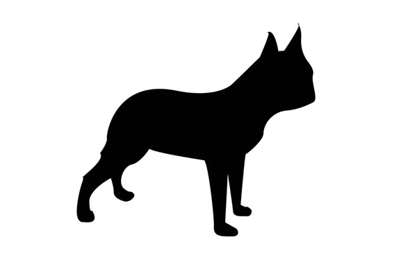 Boston terrier silhouette sur fond blanc — Image vectorielle