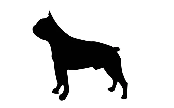 Boston terrier silhouette sur fond blanc — Image vectorielle