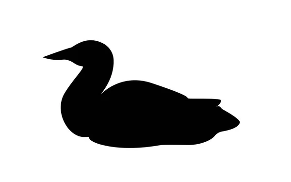 Loon silhouette su sfondo bianco — Vettoriale Stock