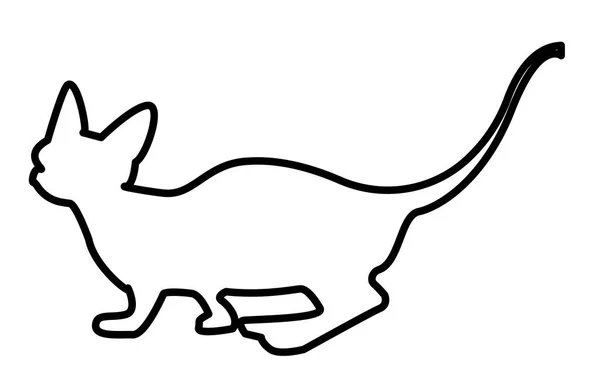 Sphynx cat silhouette outline on white background — Stock Vector