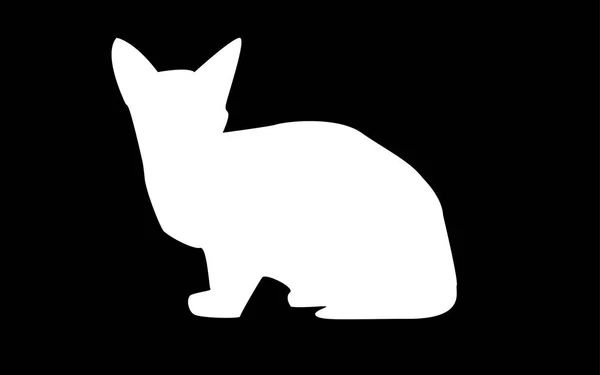 Λευκό sphynx γάτα σιλουέτα σε μαύρο φόντο — Διανυσματικό Αρχείο