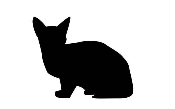 Sphynx kočka silueta na bílém pozadí — Stockový vektor