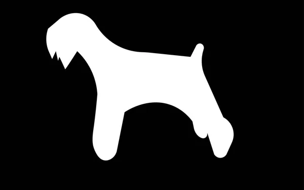 Weiße Miniatur-Schnauzer-Silhouette auf schwarzem Hintergrund — Stockvektor