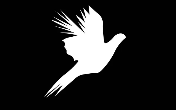 Силуэт белого летающего фазана на черном фоне — стоковый вектор