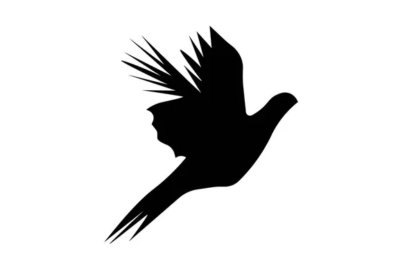 Летящий силуэт фазана на белом фоне — стоковый вектор
