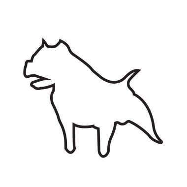 pitbul anahat beyaz arka plan üzerinde