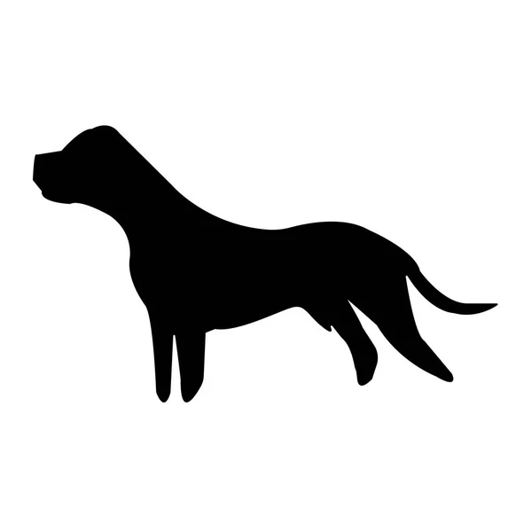 Black Pit Bull Silhouette White Background — Stock Vector