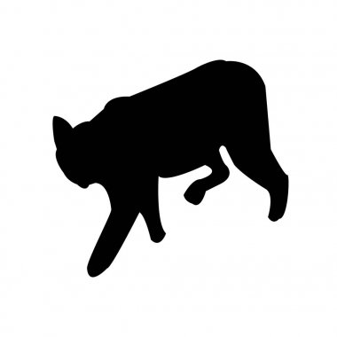 Beyaz arka planda siyah bobcat siluet