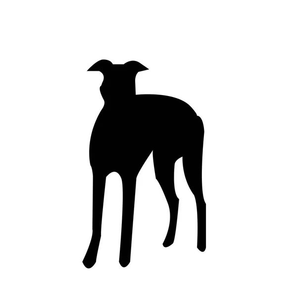 Schwarze Windhund Silhouette Auf Weißem Hintergrund — Stockvektor