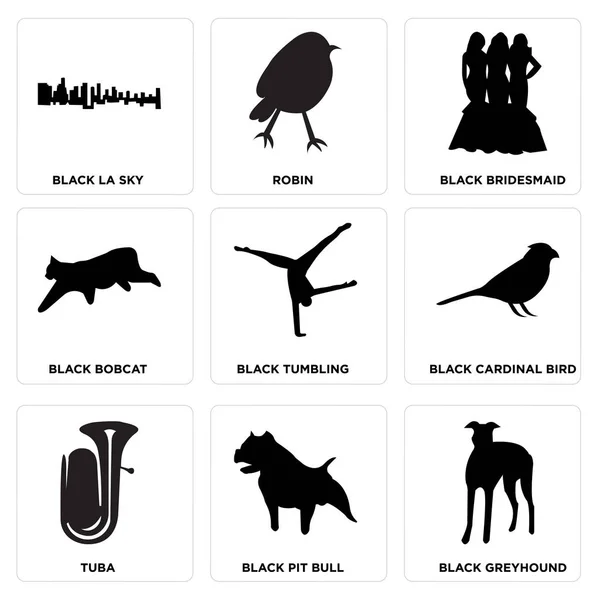 Set Of 9 simple editable icons such as black greyhound, black pit bull, tuba, black cardinal bird, black tumbling, black bobcat, black bridesmaid, robin, black la sky, can be used for mobile, web UI — Stock Illustration Set Simple Editable Icons Black Greyhound Black Pit Bull Tuba Royalty Free Stock Illustrations