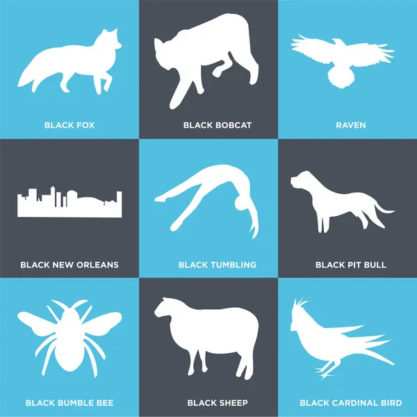 Set Of 9 simple editable icons such as black cardinal bird, black sheep, black bumble bee, black pit bull, black tumbling, black new orleans, raven, black bobcat, black fox, can be used for mobile, — Stock Illustration Set Simple Editable Icons Black Cardinal Bird Black Sheep Black Stock Illustration