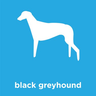 izole mavi arka plan üzerinde siyah greyhound simgesi