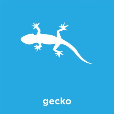 üzerinde mavi arka plan izole gecko simgesi