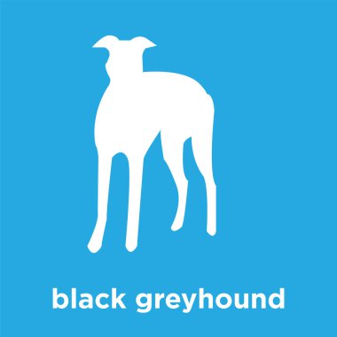 izole mavi arka plan üzerinde siyah greyhound simgesi