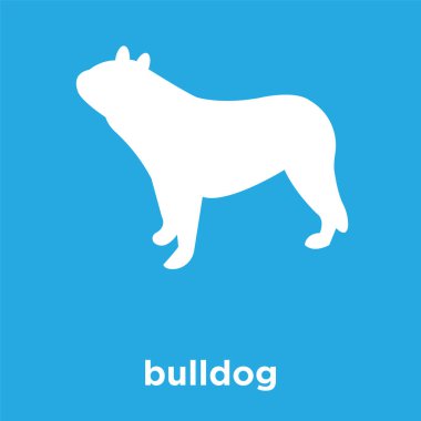 üzerinde mavi arka plan izole bulldog simgesi
