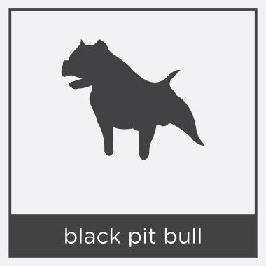 Beyaz arka plan üzerinde izole siyah pitbul simgesi