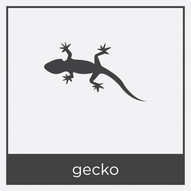 Beyaz arka plan üzerinde izole gecko simgesi