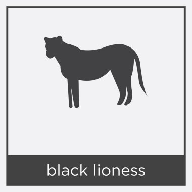 Beyaz arka plan üzerinde izole siyah dişi aslan simgesi