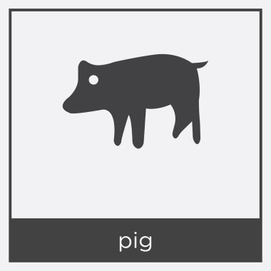 Beyaz arka plan üzerinde izole domuz simgesi