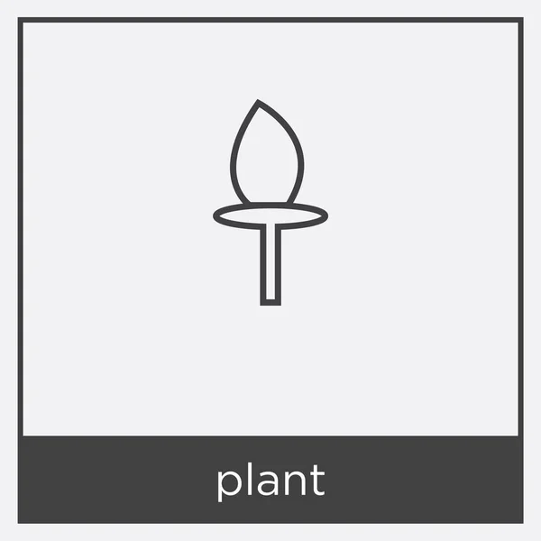 Növényi ikon elszigetelt fehér background — Stock Vector