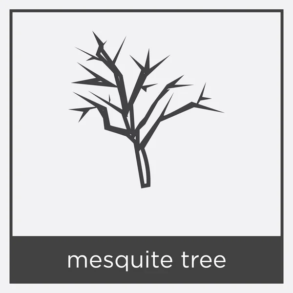 Mesquite tree icon isolated on white background — Stock Vector
