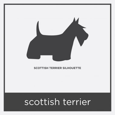 Beyaz arka plan üzerinde izole İskoç korkunç simgesi