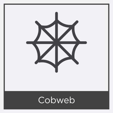 Beyaz arka plan üzerinde izole örümcek ağı simgesini