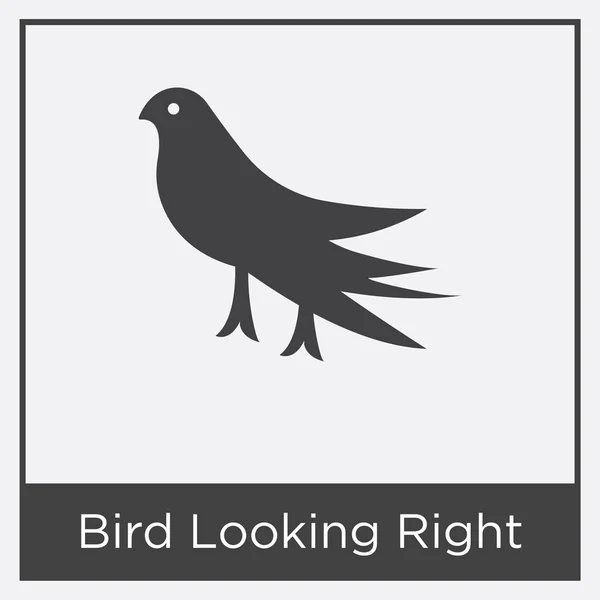 Bird Looking Right icono aislado sobre fondo blanco — Vector de stock