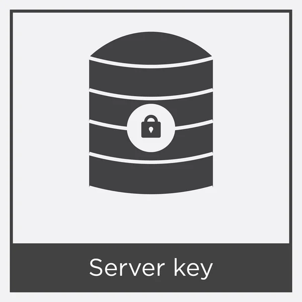 Ícone de chave do servidor isolado no fundo branco — Vetor de Stock