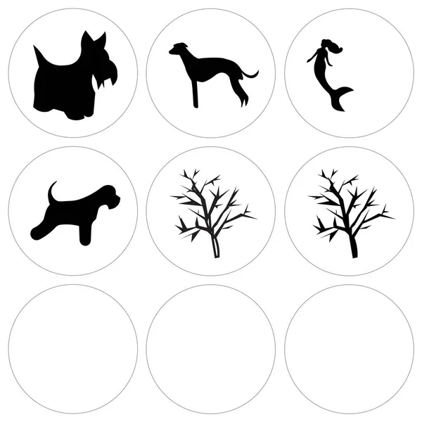 Conjunto de 9 iconos editables simples como árbol de mallas, árbol de mallas, schnauzer en miniatura — Archivo Imágenes Vectoriales