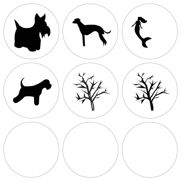 Set Of 9 simple editable icons such as mesquite tree, mesquite tree, miniature schnauzer — Stock Vector