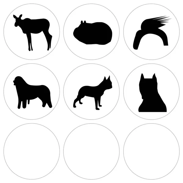 Set de 9 iconos editables simples como edmonton sky, pitbull face, boston terrier — Archivo Imágenes Vectoriales