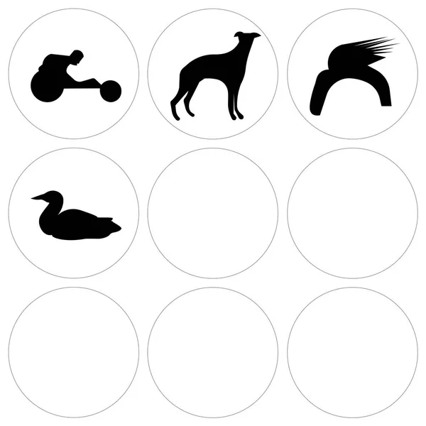 Sæt med 9 enkle redigerbare ikoner såsom loon, bil, donald trumf hår – Stock-vektor