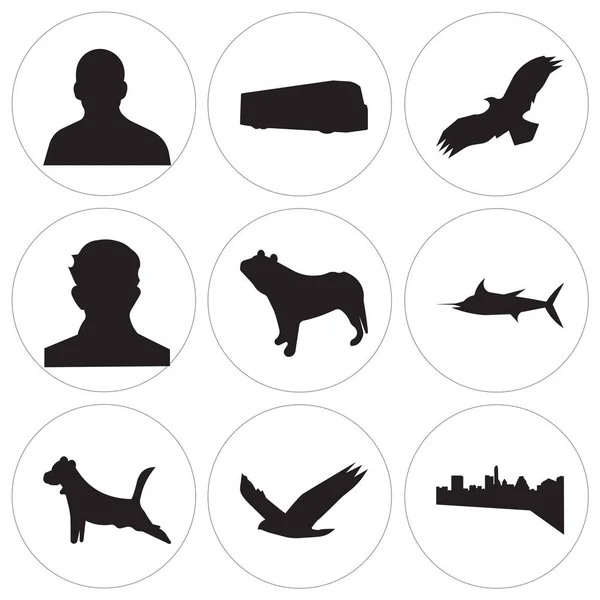 Set Of 9 ícones editáveis simples, como Austin sky , , — Vetor de Stock