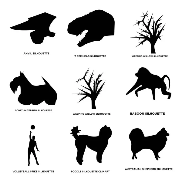 Set Of 9 simple editable icons such as australian shepherd, poodle, volleyball spike Stock Vector