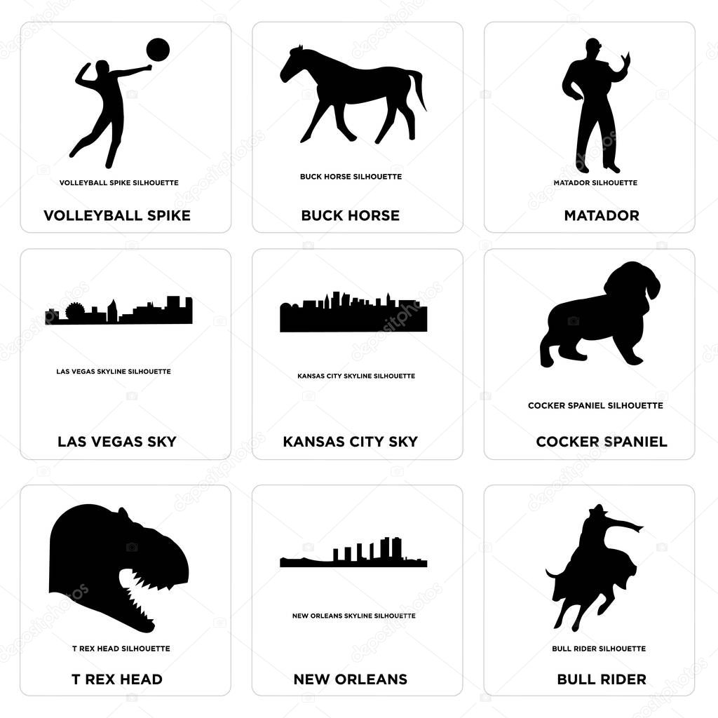 Set Of 9 simple editable icons such as bull rider, new orleans, t rex head